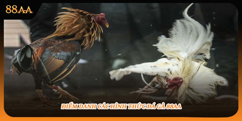 Điểm danh các hình thức đá gà 88aa