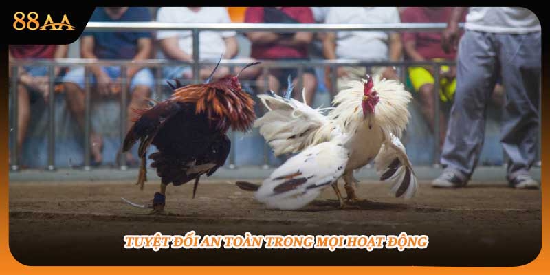 Tuyệt đối an toàn trong mọi hoạt động